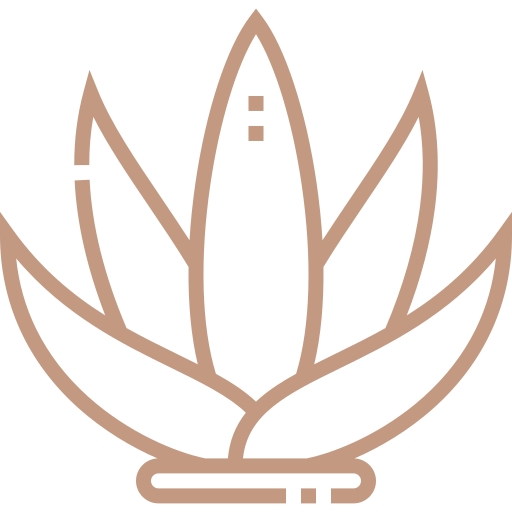 aloe-vera