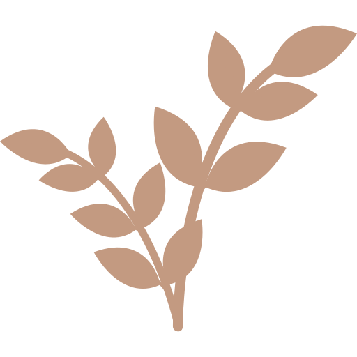 maceta